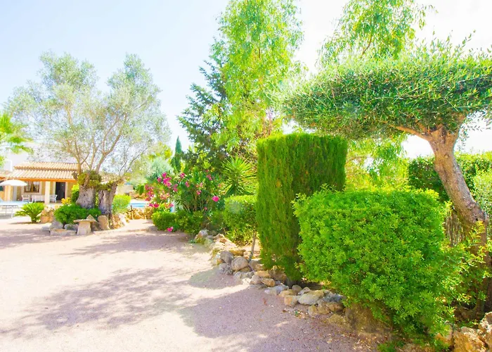 Perfecta Vacaciones Con Wifi Y A/c Pollença